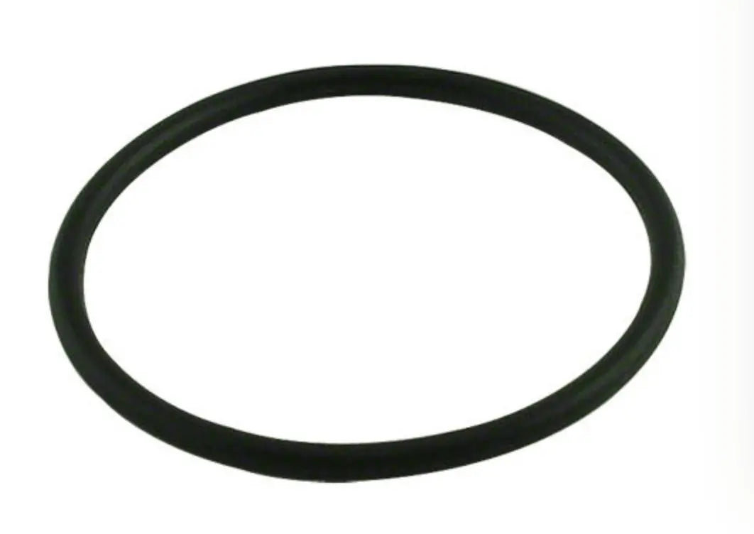 Banjo LS100G Line Strainer Gasket